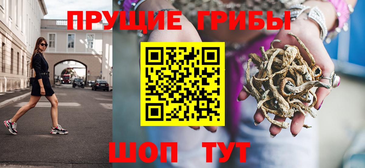Галлюциногенные грибы Psilocybine cubensis Карпинск